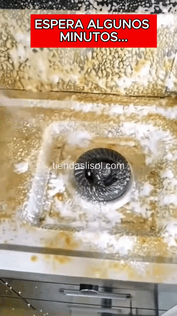 2 X 1 ESPUMA QUITA GRASA - OVEN CLEANER